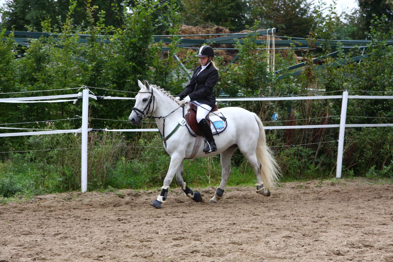 Bild 1193 - WBO-Turnier am 18.9.11